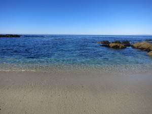IMG_0174